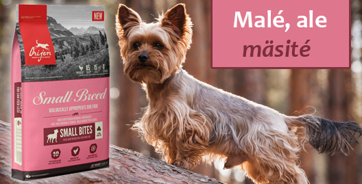orijen small breed