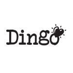 DINGO
