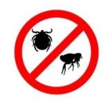 Antiparazitiká Antiparazitiká