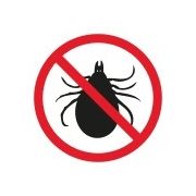 Kliešte a bodavý hmyz