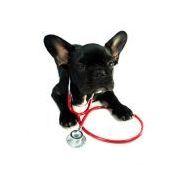 Hypoalergénne a funkčné