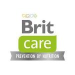 BRIT care