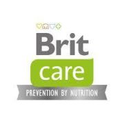 BRIT care