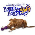 Busy Buddy