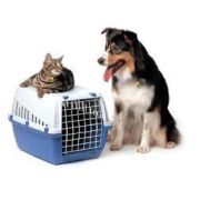 Cestovanie/Transport