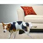 Čistiace prostriedky Čistiace prostriedky