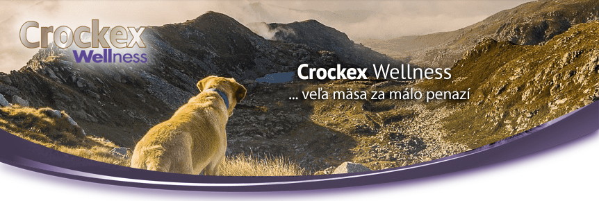 crockex wellness