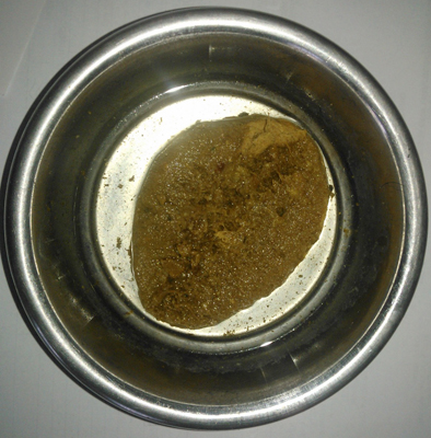Orijen
