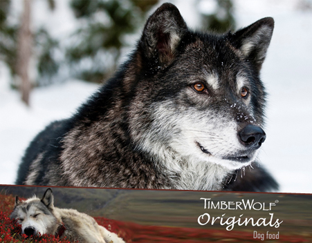 timberwolf