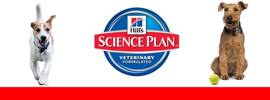 Hill’s™ Science Plan™