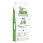 BRIT Care dog Grain free Adult Large Breed Salmon & Potato
