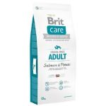 BRIT Care dog Grain free Adult Salmon & Potato