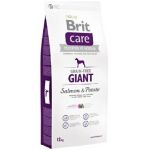 BRIT Care dog Grain free Giant Salmon & Potato