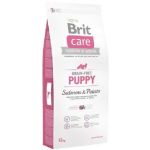 BRIT Care dog Grain free Puppy Salmon & Potato