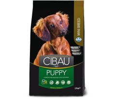 CIBAU dog puppy mini