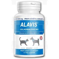 ALAVIS Celadrin 60 tbl.