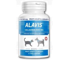 ALAVIS Celadrin 60 tbl.
