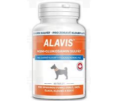ALAVIS MSM + Glukosamin sulfát 60 tbl.