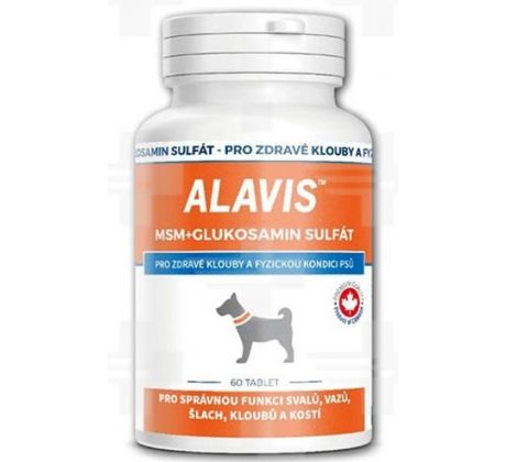 ALAVIS MSM + Glukosamin sulfát 60 tbl.