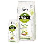 BRIT Fresh Active Run & Work kačacie s prosom