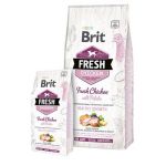 BRIT Fresh Puppy Heatlhy Grow kura so zemiakom