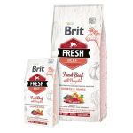 BRIT Fresh Puppy Large hovädzie s tekvicou
