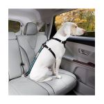 Bezpečnostný autopás pre psa s upínacím mechanizmom Kurgo Direct to Seatbelt Tether