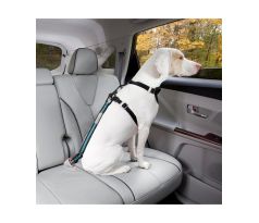 Bezpečnostný autopás pre psa s upínacím mechanizmom Kurgo Direct to Seatbelt Tether