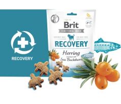 Brit Care Dog Functional Snack Recovery Hering 150 g