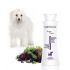 BIOGANCE White Snow shampoo 250 ml