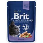 BRIT Premium cat Kapsička Adult Cod Fish 100 g