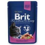 BRIT Premium cat Kapsička Adult Salmon & Trout 100 g