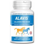 ALAVIS Celadrin pre kone plv. 60 g