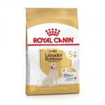 Royal Canin labrador adult