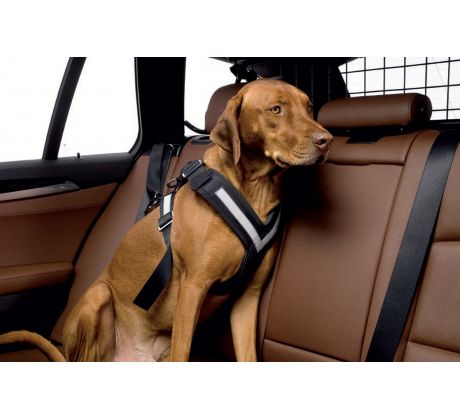 Bezpečnostný postroj pre psa do auta