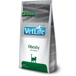 Farmina Vet Life cat obesity