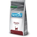 Farmina Vet Life cat hepatic