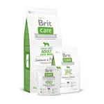 Brit Care dog Grain-free Adult Large Breed