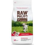 VetExpert Raw Paleo puppy large beef