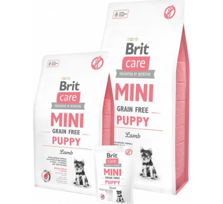 BRIT Care dog MINI Grain free Puppy Lamb