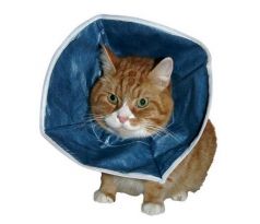 Golier Buster pre malé psy a mačky - mäkký