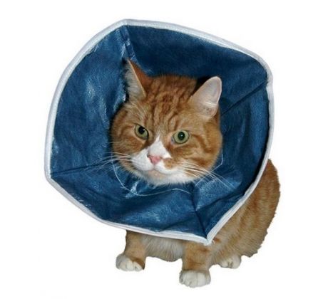 Golier Buster pre malé psy a mačky - mäkký