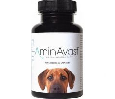 AminAvast pre psov 1000 mg 60 cps.