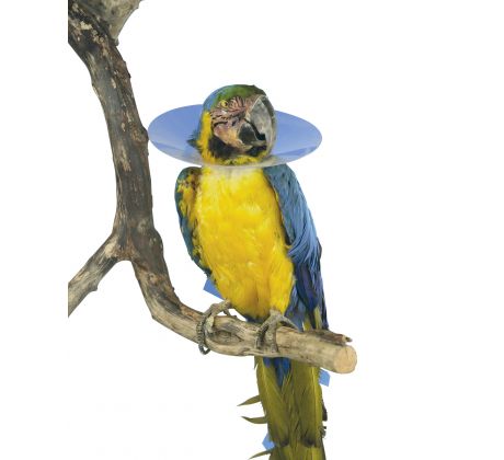 Golier ochranný pre vtáky BUSTER XS 8 cm