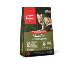 ORIJEN TUNDRA cat