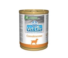 Farmina Vet Life Convalescence konzerva 300 g
