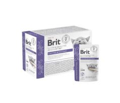 Brit VD Gluten & Grain-Free Cat Pouch Fillets in Gravy Gastrointestinal 12 x 85 g