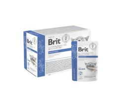Brit VD Gluten & Grain-Free Cat Pouch Fillets in Gravy Recovery 12 x 85 g
