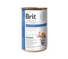 Brit VD Cat GF Recovery
