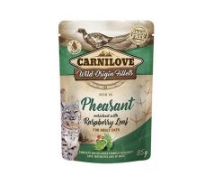 Carnilove cat Kapsička Rich in Pheasant Enriched with Raspberry Leaves 24 x 85 g